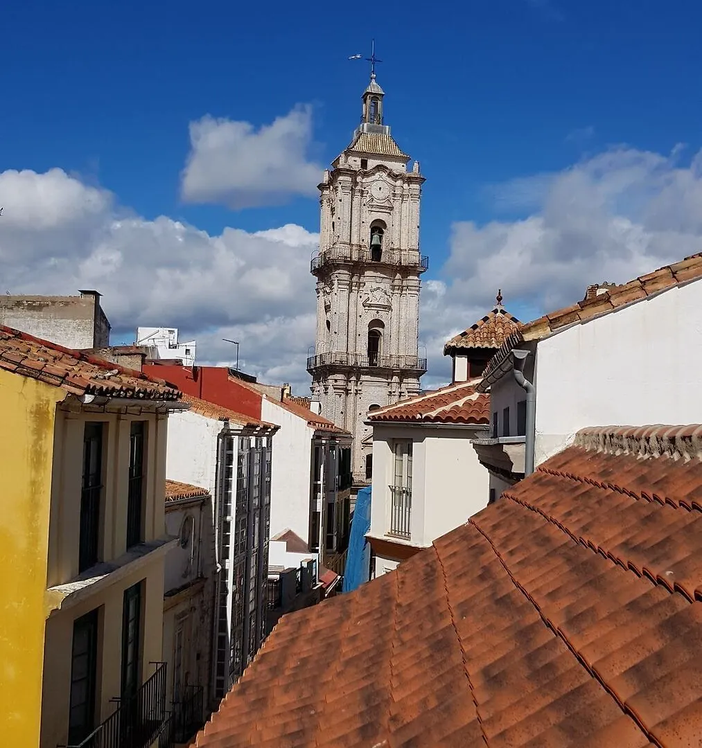 Apartment Lodgingmalaga San Juan Spain